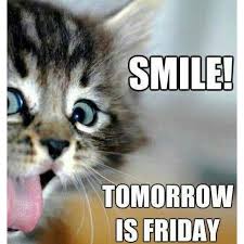 Having a pet and cuddling them daily  reduces stress by 40%.  Bring on the weekend.