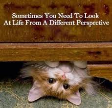 sometimes you need to look at life