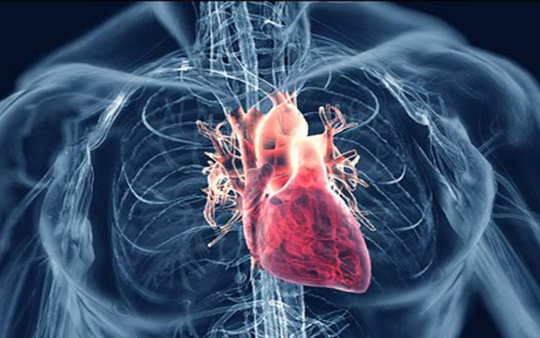 Uncovering The Link Between Emotional Stress and Heart Disease