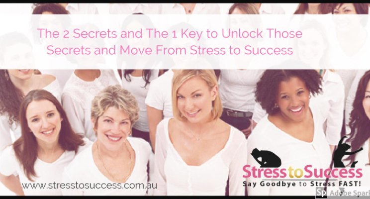 The 2 Secrets and the 1 Key to Unlock Those Secrets and Move From Stress to Success
